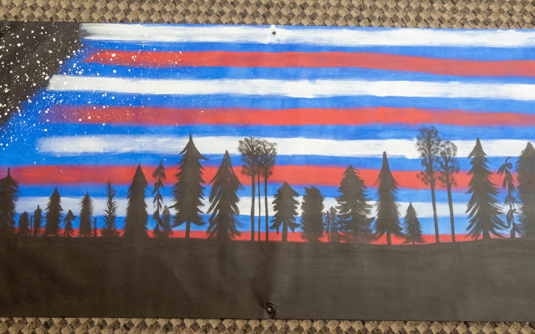 A Photo of American Sky, Unity Flag submitted by Alison Miller and Nancee Wright (Minnesota)